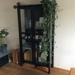 Vitrinekast, glas/hout kleur zwart