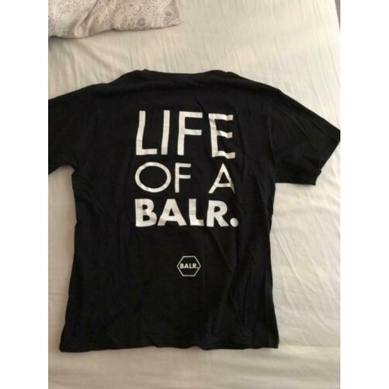 10€ Zgan shirts BALR Armani Kenzo Iceberg PP CK
