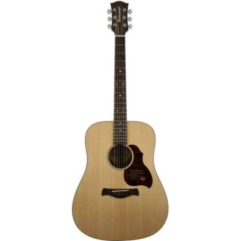 Akoestische gitaar dreadnought D-20 | Richwood