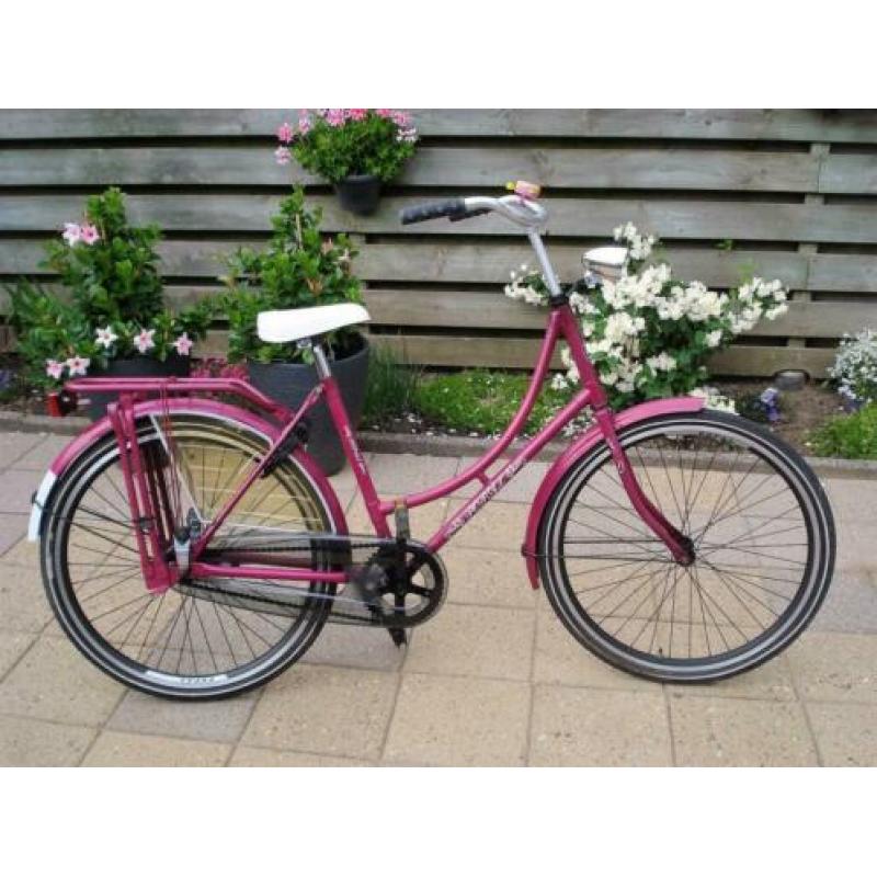 Omafiets popal