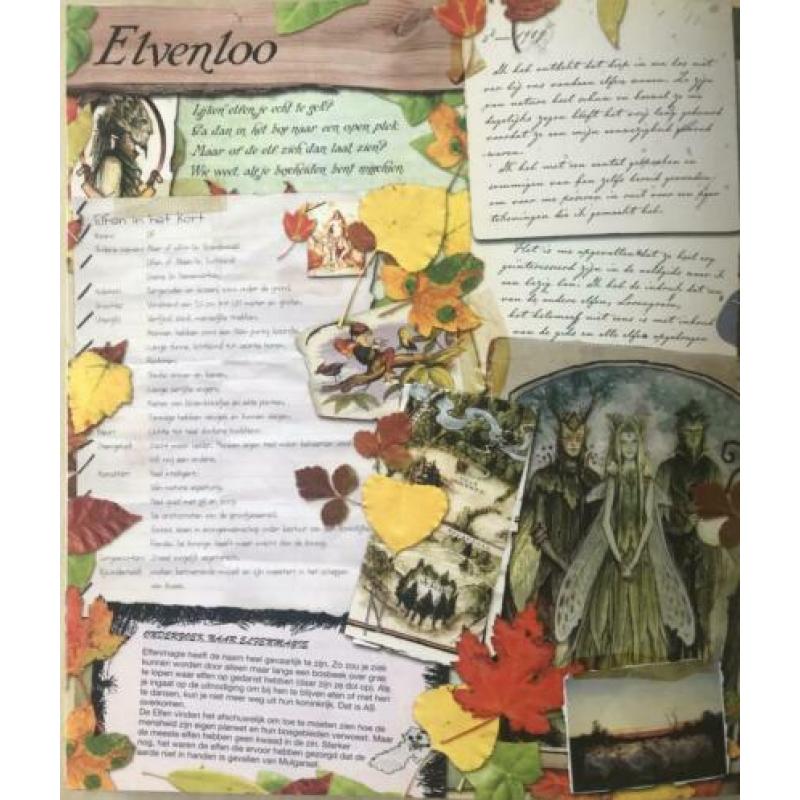 Spiderwick chronicals. Het boek over een toverachtige reis.