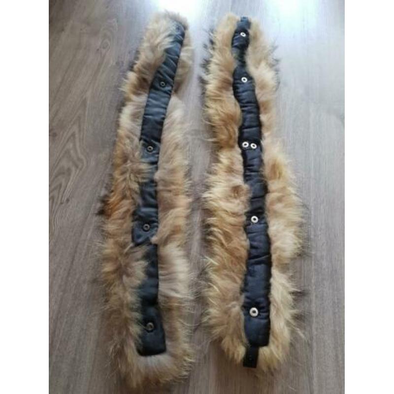 Zo goed als nieuwe raccoon/ wasbeer bontkraag/ bontkragen