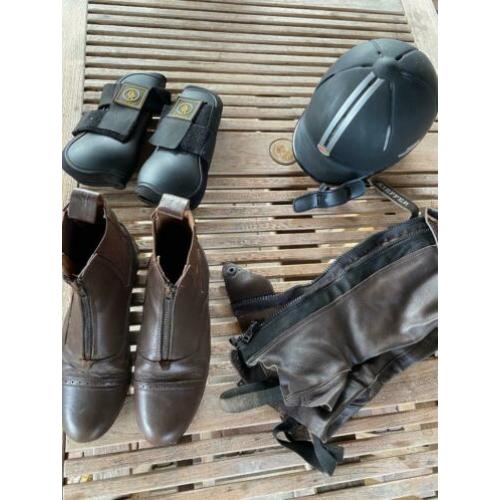 Paard