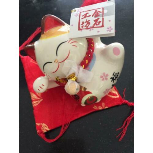 Nieuwe porseleinen Chinese spaarpot