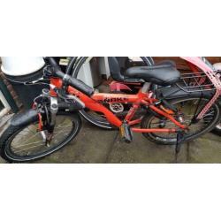 5 x Batavus Snake