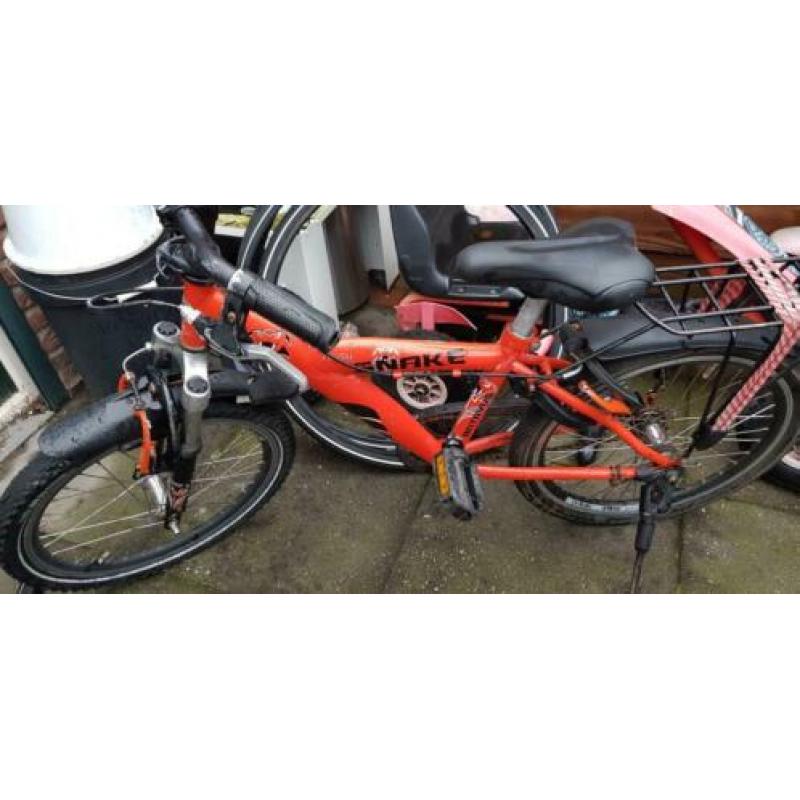 5 x Batavus Snake