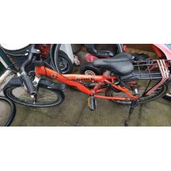 5 x Batavus Snake
