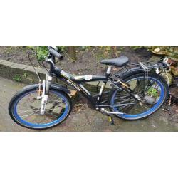 5 x Batavus Snake