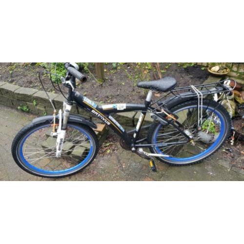5 x Batavus Snake