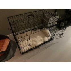 Honden bench M