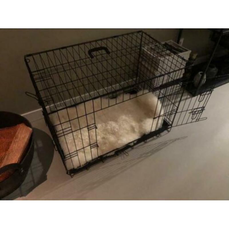Honden bench M