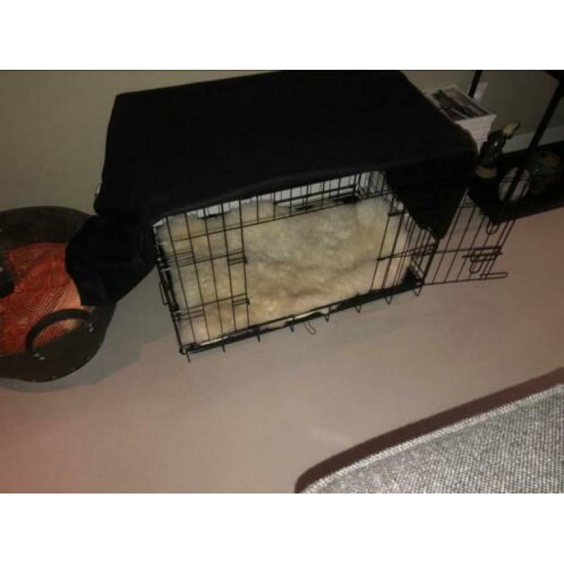 Honden bench M