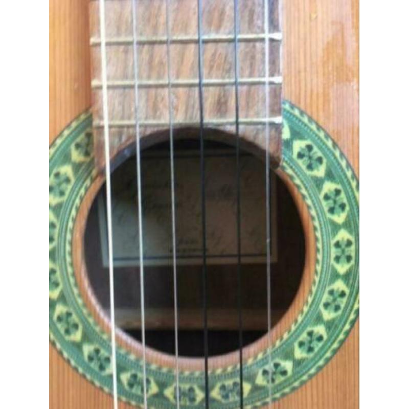 Gitaar