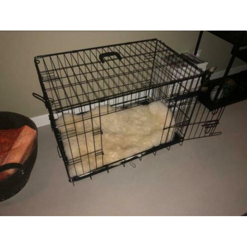 Honden bench M