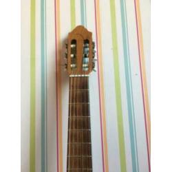 Gitaar