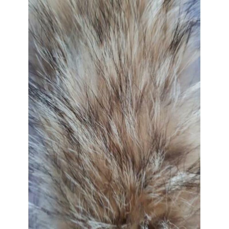 Zo goed als nieuwe raccoon/ wasbeer bontkraag/ bontkragen