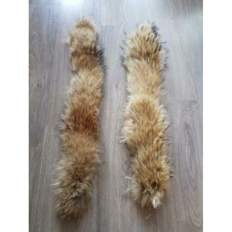 Zo goed als nieuwe raccoon/ wasbeer bontkraag/ bontkragen