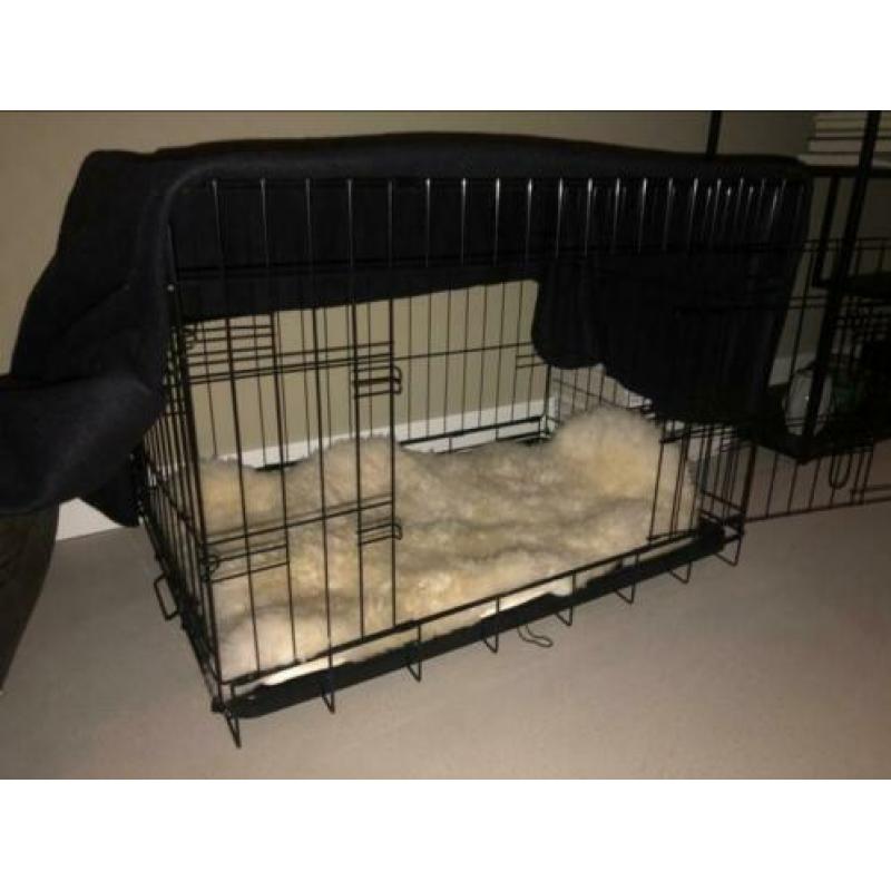 Honden bench M