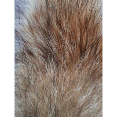 Zo goed als nieuwe raccoon/ wasbeer bontkraag/ bontkragen