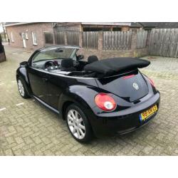 Volkswagen New Beetle Cabriolet 1.6 Highline