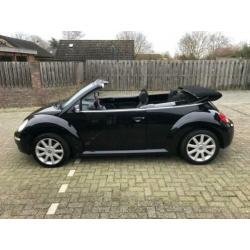 Volkswagen New Beetle Cabriolet 1.6 Highline