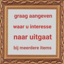Verkleedkleding
