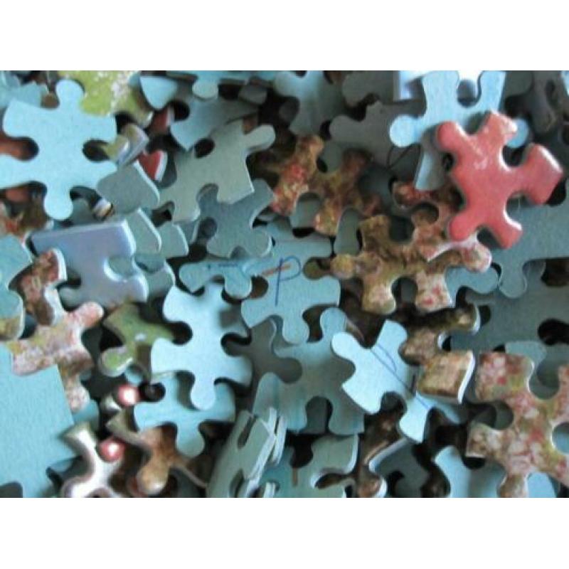 Puzzel - MB - Appelbloesem 1000