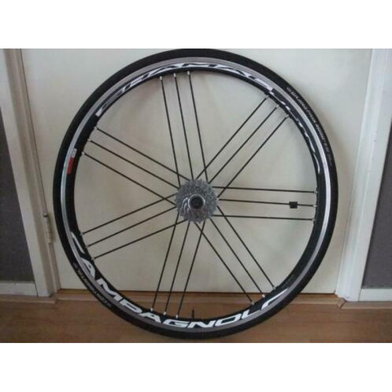 Campagnolo Shamal Ultra wielset