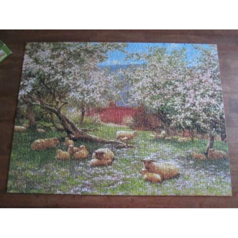 Puzzel - MB - Appelbloesem 1000