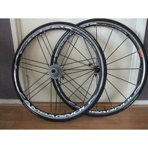 Campagnolo Shamal Ultra wielset