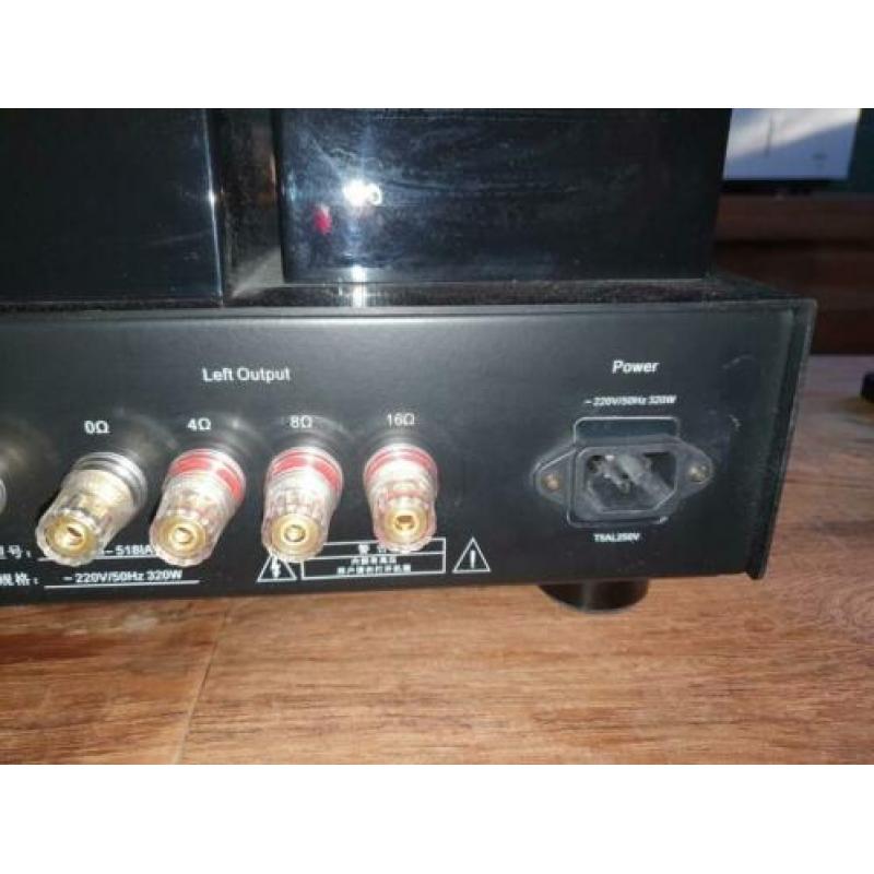Line magnetic LM-518IA buisversterker