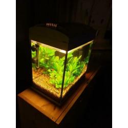 SuperFish 30 aquarium