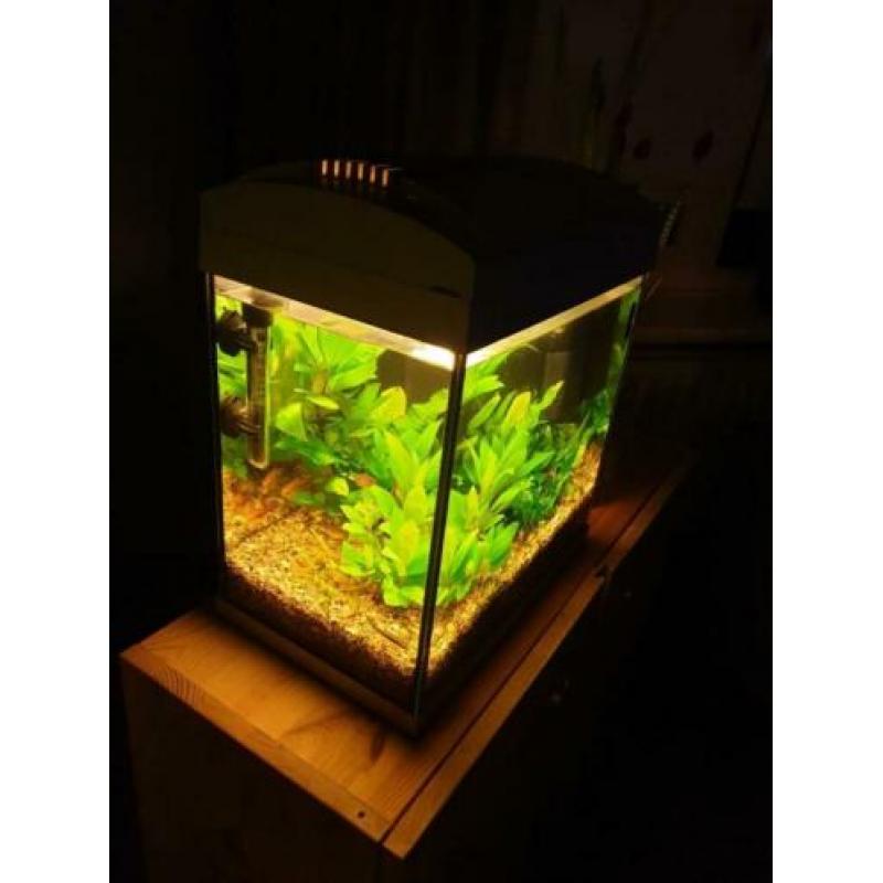 SuperFish 30 aquarium