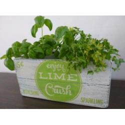Brocante vintage frisdrank kist/krat/Lime Crush/Amerikaans