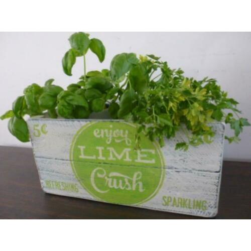 Brocante vintage frisdrank kist/krat/Lime Crush/Amerikaans