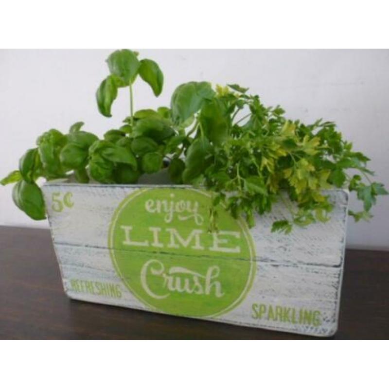 Brocante vintage frisdrank kist/krat/Lime Crush/Amerikaans