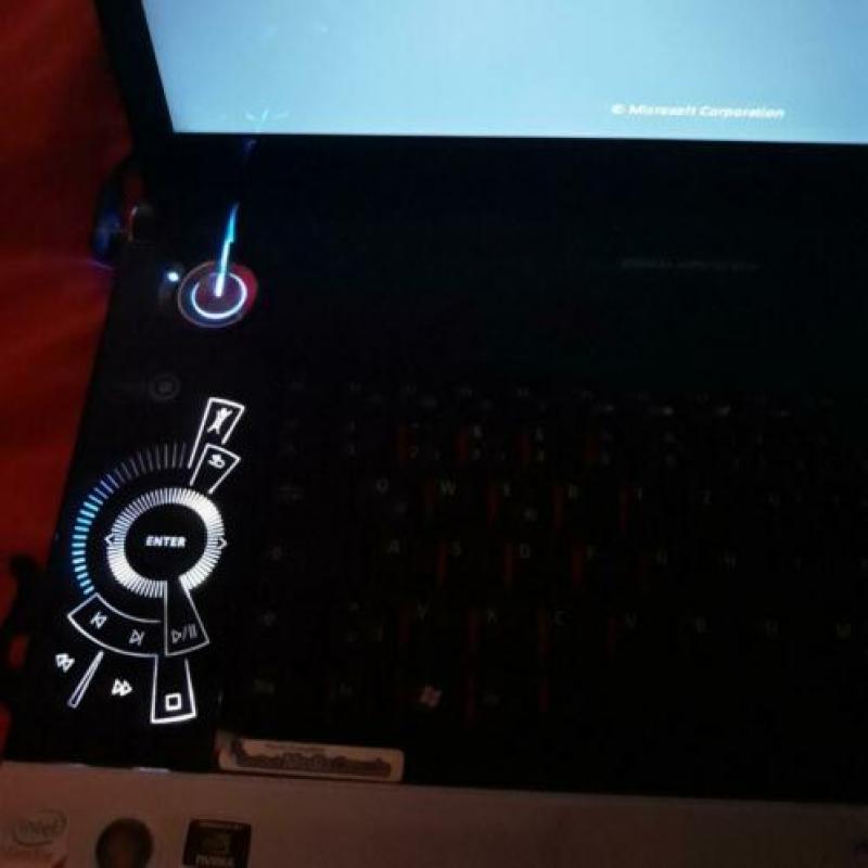 Acer