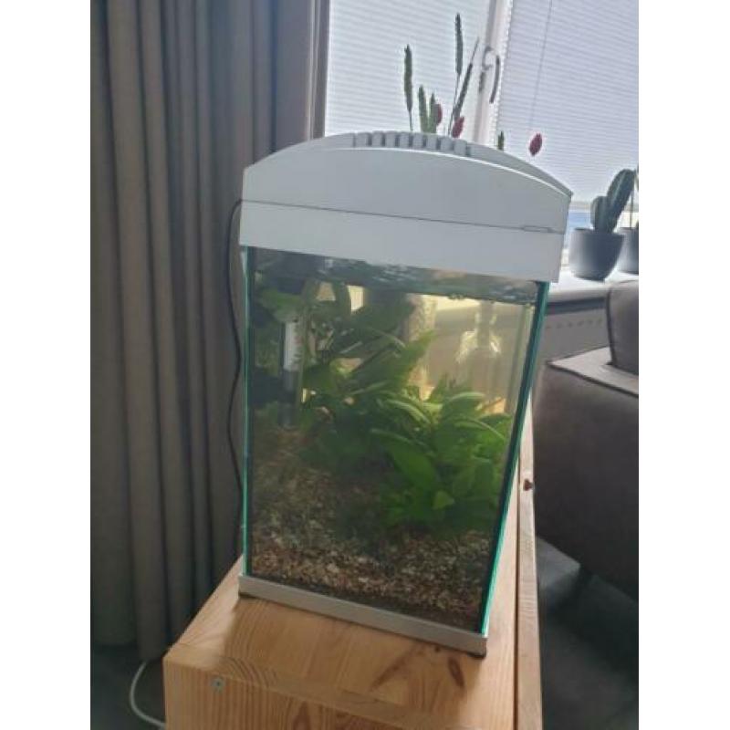 SuperFish 30 aquarium