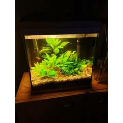 SuperFish 30 aquarium