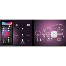Philips Hue White & Color Ambiance E27 Lampen Set (2 stuks)