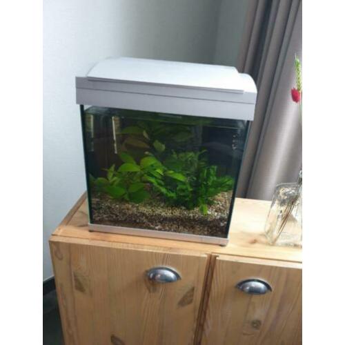 SuperFish 30 aquarium