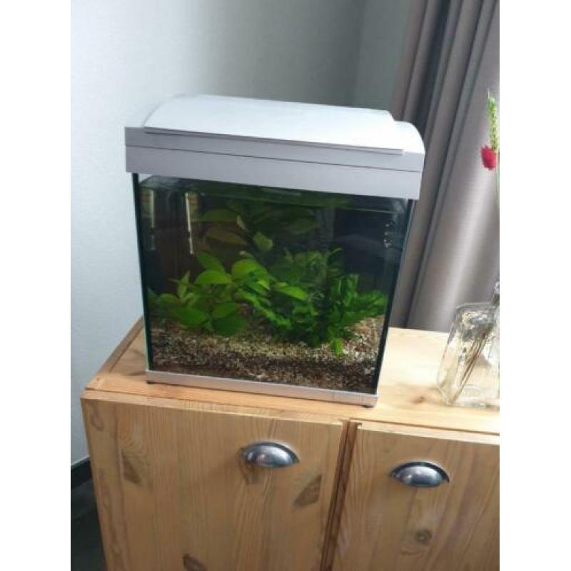 SuperFish 30 aquarium