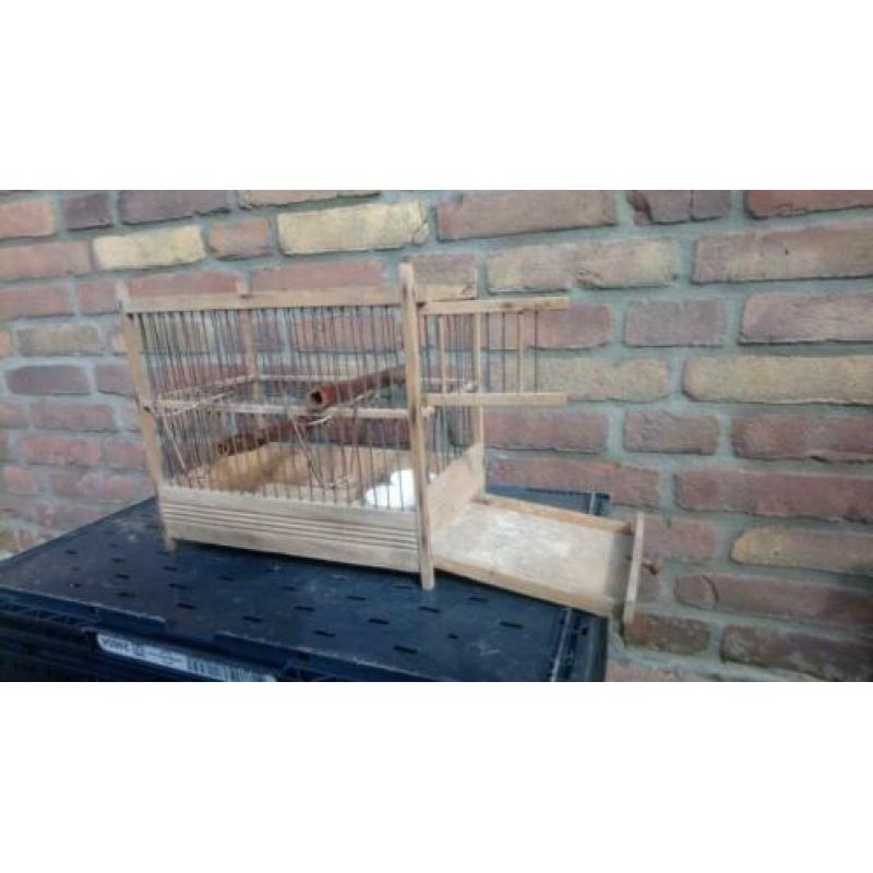 Antiek vogelkooitje