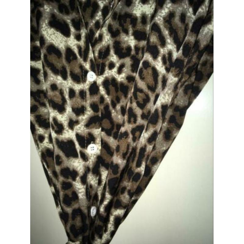 Nieuw! Laatste! Jurk met Luipaardprint. Maat M en L.