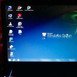 Acer