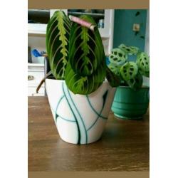 2 mooie vintage bloempotten