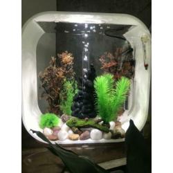 Biorb 30 liter incl pomp, verwarming en sierelementen
