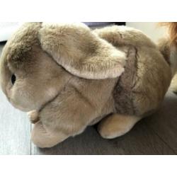 Mooie knuffels nieuwstaat 1 prijsje