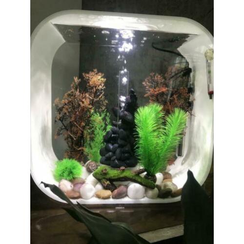 Biorb 30 liter incl pomp, verwarming en sierelementen