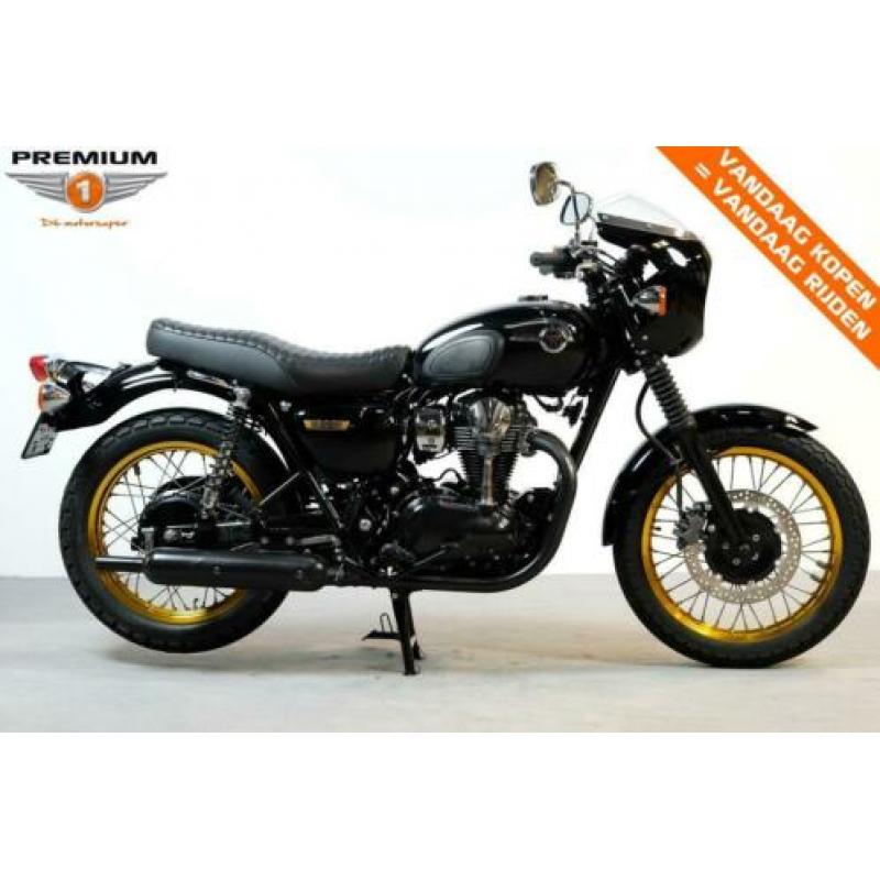 Kawasaki W 800 SE (bj 2012)